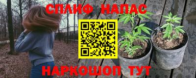 PSILOCYBIN Уссурийск