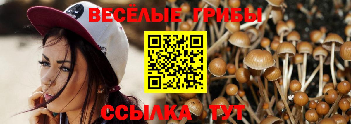Галлюциногенные грибы мухоморы Бийск